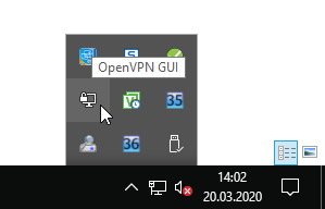 Die Verbindung zu openVPN wird hergestellt.